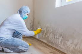 Best Residential Mold Inspection & Testing  in Mckee City, NJ