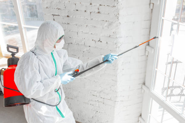 Best Industrial Mold Remediation  in Mckee City, NJ