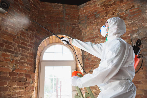 Best Mold Prevention Services  in Mckee City, NJ