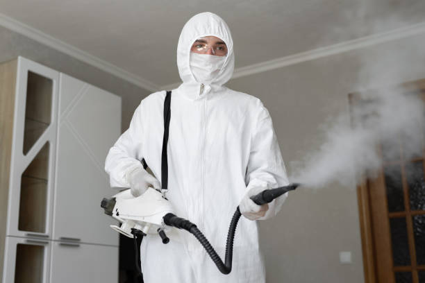 Best Forensic Mold Investigation  in Mckee City, NJ