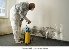 Best Water Damage & Mold Remediation  in Mckee City, NJ